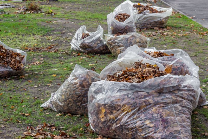 Backyard Waste Removal
