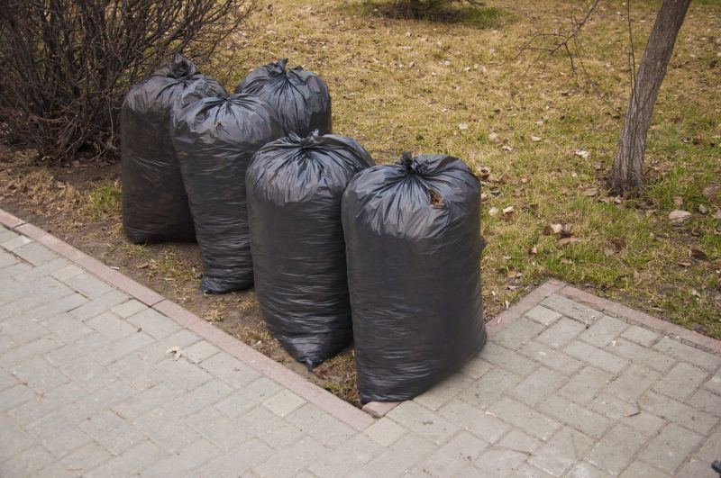 Backyard Waste Removal