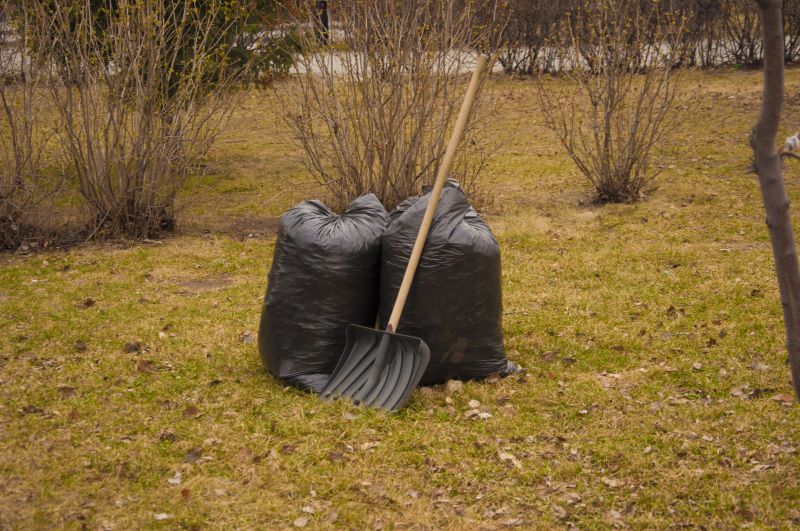 Backyard Waste Removal