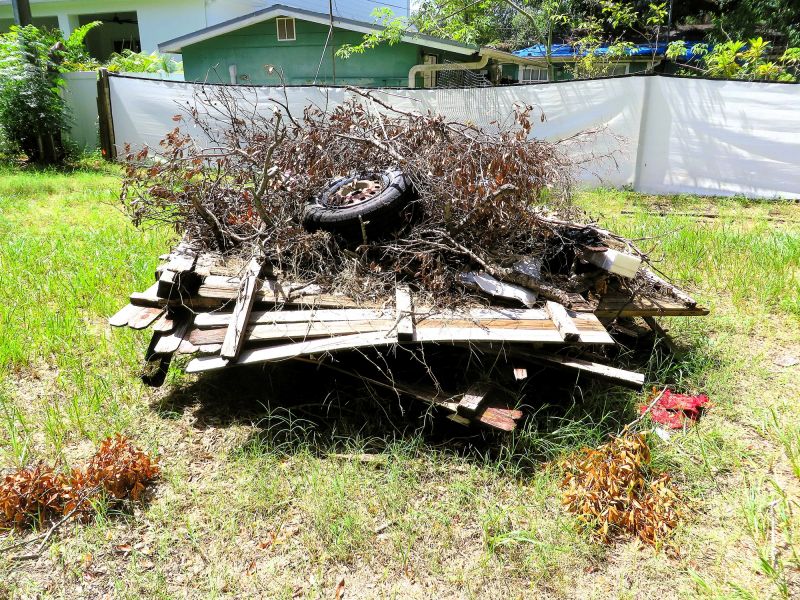 Brush Cleaning Service in Ventura County, CA