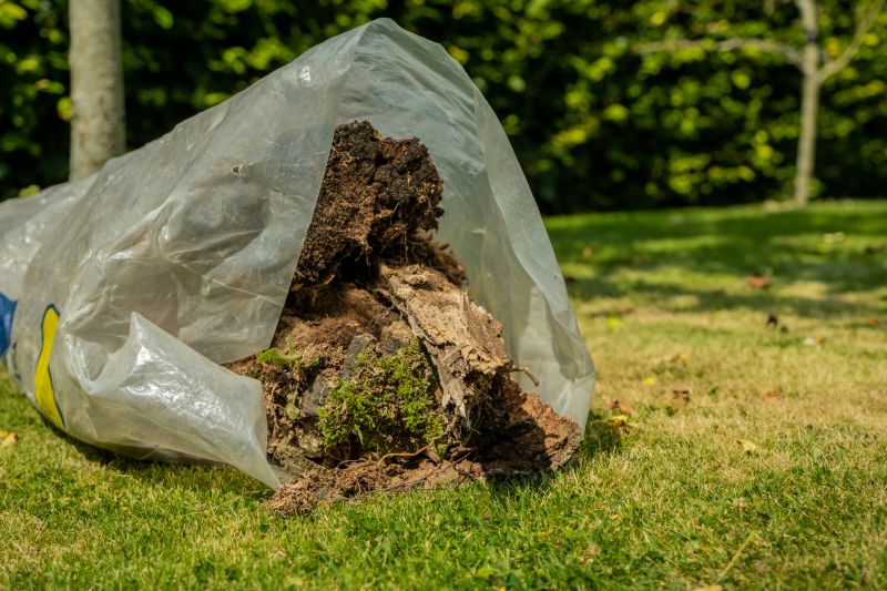 Leaf Cleanup Service in Ventura County, CA