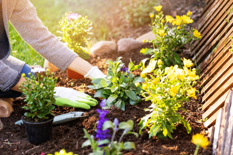 Small Garden Landscaping in Honolulu, HI