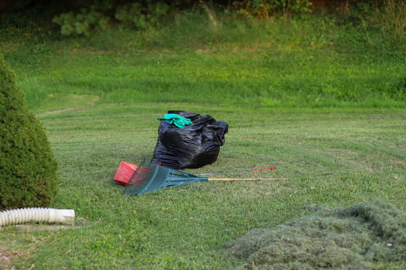 Backyard Waste Removal